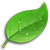 [Green]